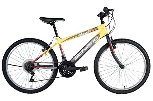Vélos de montagnes : F.lli Schiano Integral Power Vélo Homme, Jaune / Anthracite, Taille 24"