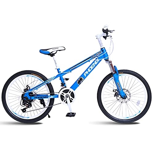 Vélos de montagnes : FUFU Vélo De Montagne 20inch, équipement à 21 Vitesses, Amortisseur à Fourche Avant, Vélo pour Enfants, 2 Couleurs(Color:Bleu)