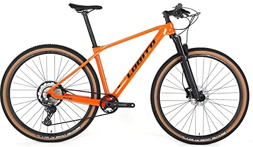 Vélos de montagnes : LOBITO MT10 (19, orange)