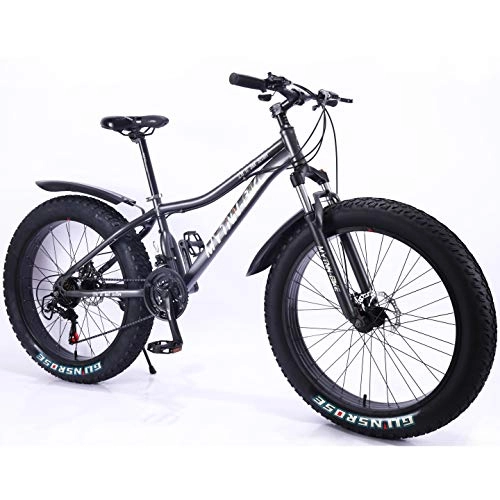 Vélos de montagnes : MYTNN Fatbike Vélo de montagne 26" 21 vitesses Shimano Fat Tyre 47 cm RH Snow Bike Fat Bike (Gris)
