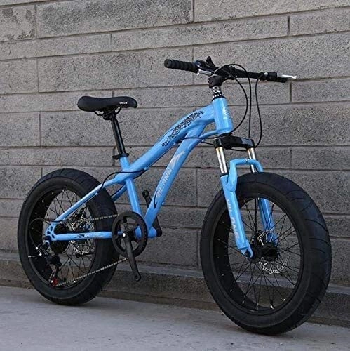 Vélos de montagnes : QZ Haute teneur en Carbone Cadre en Acier Fat Tire Bike Vlo VTT for Adultes et Adolescents avec Freins Disque et au Printemps Fourche Suspension (Color : C, Size : 20inch 21 Speed)