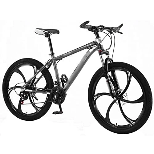 Vélos de montagnes : TABKER Vélo de montagne fourche d'amortissement de vitesse Fat Snow Vélo de route Roues en alliage d'aluminium Cyclisme Frein mécanique à double disque (couleur : gris)