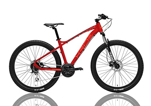 Vélos de montagnes : VTT 29 coffre XFC avec frein à disque hydraulique 24 V rouge rubis (L)