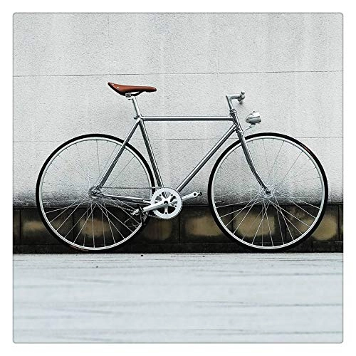 Vélos de routes : Rétro AcierVélo Sliver 700C Cadre Vitesse Fixe Vélo Single Track Speed ?Bike 52cm Bike Vintage Frame (Sliver, 52cm(175cm-180cm))
