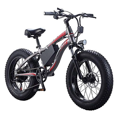 Vélos électriques : AYHa Adultes Plage vélo électrique, 250W étanche moteur 20 pouces 4.0 Fat Tire Vélo électrique 7 Vitesse Shifter double Freins à disque amovible Motoneige batterie