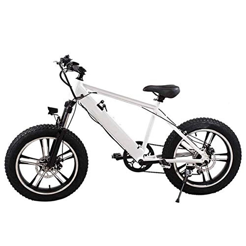 Vélos électriques : AYHa Vélo électrique de montagne pour adultes, moteur 250W 20 pouces 4.0 pneu large motoneige batterie amovible double freins à disque urbain banlieusard e-bike unisexe, blanc