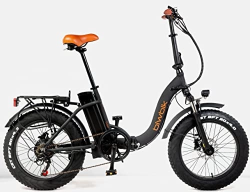 Vélos électriques : BIWBIK Noir (Capri Black) Unisexe, Adulte, PLEGABLE