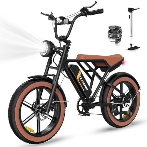 Vélos électriques : COLORWAY Vélos électriques, EBIKE Tout Terrain de 20 Pouces avec Pneu 4.0 Fat, avec Moteur 250W et Batterie 48V 15Ah, ebike à Moteur Puissant pour Adulte Unisexe.