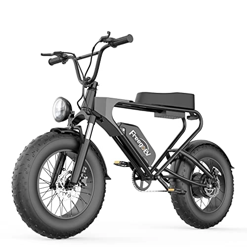 Vélos électriques : Freego Vélo Confort Vélo Électrique 20 Pouces Fat Bike Montagne Ebike vélo de Ville VTT Vélo Électrique avec Pédalage Assisté Adulte Unisexe