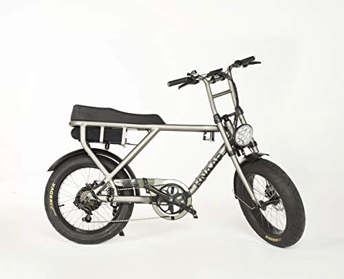 Vélos électriques : KNAAP Vélo électrique Batterie-Scooter Urbain Système de Changement de Vitesse Shimano édition avec Une Puissance 250 Watts-KN SPACEGREY Bike Adulte Unisexe, Gris, Normal