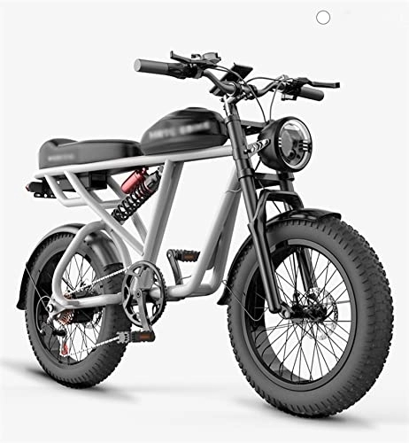 Vélos électriques : LIANAI zxc Bikes 20 pouces Vélo électrique gros pneu classique rétro deux roues électrique moto eBike double choc moteur 1500 W vélo électrique (couleur : 48 v1500 w)