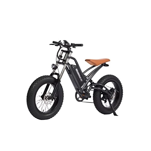 Vélos électriques : QYTEC ddzxc Vélo électrique adulte 20" vitesse variable hors-route Booster avec VTT électrique amovible