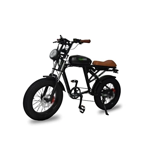 Vélos électriques : QYTEC ddzxc Vélo électrique pour adulte Haute vitesse VTT Ebike en pouces Gros pneus pour adulte Neige / plage Vélo électrique