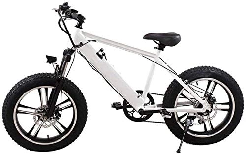 Vélos électriques : RDJM VTT Electrique, Adultes Montagne Vélo électrique, avec 250W Moteur 20 Pouces 4.0 Pneu Large motoneige Amovible Batterie Double Freins à Disque Urban Commuter E-Bike Unisexe (Color : White)