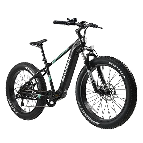 Vélos électriques : Zeekpowa Vélo électrique pour Homme et Femme avec Moteur 250 W, vélo de Montagne électrique avec Batterie 48 V 10, 4 Ah 500 Wh Batterie avec Chargeur Frein à Disque hydraulique