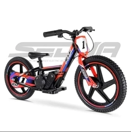 Genérico Bici Apollo RFZ Sedna -Compatto Bicicletta elettrica per bambini, ruote da 16 inch (arancio)