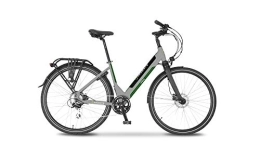 Argento Bici elettriches Argento Bicicletta elettrica Omega Città, Unisex Adulto, Grigio e Verde, taglia unica