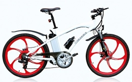 Ecomission Bici elettriches Bicicletta elettrica Mountain Bike