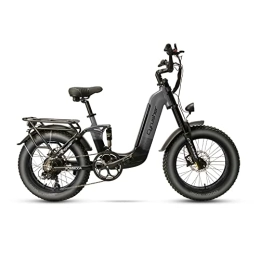 Extrbici Bici Extrbici Bicicletta elettrica unisex per adulti con pneumatici e luci LED Commoda (grigio)