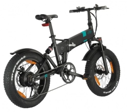 Fiido Bici FIIDO M21 Bici elettriche Pieghevoli per Adulti, Mountain Bike elettrica da 250 W 36 V, Bicicletta elettrica Pieghevole da 20 Pollici, Guida a Lunga Distanza di 100 km(Nero)
