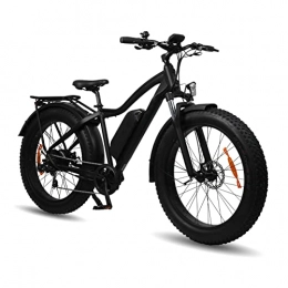 HMEI Bici elettriches HMEI Bici da Neve elettrica Pneumatico da 26 Pollici 48V 750W 624WH Bicicletta elettrica Fat Tire Adulto E Bici Potente E-Bike (Colore : Matt Black)
