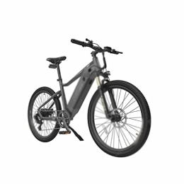 IEASE Bici IEASEddzxc Electric Bicycle C26 Electric Bicycle 250W 48V 10Ah Classical Electric Bike City Road Mountain Ebike Aluminum alloy E-bike (Color : Grey)