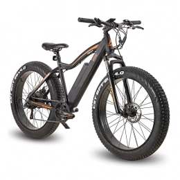 LIU Bici elettriches Mountain Bike elettrica da 26 Pollici con Pneumatici Grassi con Motore da 500 W, Batteria Rimovibile da 48 V, 7 Marce, Display LCD a 5 velocità, Bici elettrica da 20 mph per Adulti