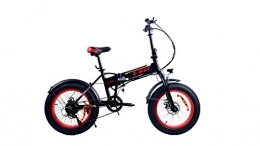 MR J toys&more Bici MR J toys&more Bicicletta Elettrica 20'' Ripiegabile, Cambio con 6 velocità, Display LED, Freno a Disco, Batteria 48 V (Nera)