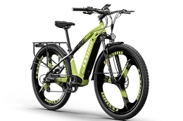 PRASHANT Bici PRASHANT Bike elettrica CM520, 29 '' Off-road Mountainbike per uomo adulti, 48 V14 AH E-Bike, freno a disco idraulico, design luminoso unico (Verde)