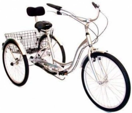 QLHQWE Bici QLHQWE Bicicletta Pieghevole elettrica, con 40-50 km Gamma Leggera di Alluminio Adulti MTB E-Bike con Impermeabile di Grande capienza 36V 8A Batteria al Litio e caricabatteria, 3 velocit e Brushless
