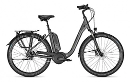 Raleigh Bici RALEIGH Kingston 8 XXL R - Bicicletta elettrica Bosch 2020 (28" Comfort M / 50 cm, granito opaco)