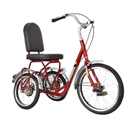 DERUKK-TY Bici Tricicli elettrici per anziani, bicicletta per adulti, tricicli per anziani, pedali per il tempo libero e il fitness per adulti e biciclette sportive per lo shopping, lo sport, pick up bambi