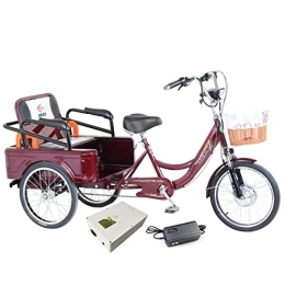Ambayz Bici Triciclo Elettrico da 250 W, Bicicletta Elettrica A 3 Ruote per Adulti, Triciclo Elettrico / Servoassistito da 45 V con Sedile Posteriore, Forcella Ammortizzata E Regolabile A 3 velocità, 10a