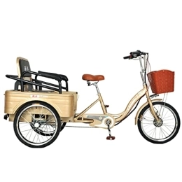 Ambayz Bici Trike Elettrico da 20 Pollici con Sedile Posteriore per Adulti, Bicicletta Elettrica A 3 Ruote con Motore da 350 W E Batteria al Litio Rimovibile da 48 V, 3 velocità Regolabili, d'oro, 20Ah