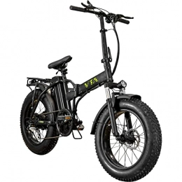 ES-TOYS Bici Volta - Bicicletta elettrica VB2, 48 V, 250 W, con batteria agli ioni di litio da 10 Ah, portata fino a 110 km