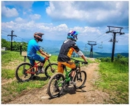 Aoyo Bici pieghevoli Aoyo Mountain Bike, Bike, Biciclette, Full Suspension, 26 Pollici 21 velocità, Pieghevole, all Terrain, Bicicletta della Montagna, MTB, Acciaio al Carbonio Telaio, (Color : Green)
