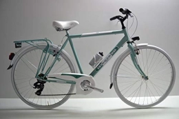 Cicli Ferrareis Biciclette da città City Bike Trekking Passeggio Stradale 28 Uomo Verde e Bianco Grigio 6v