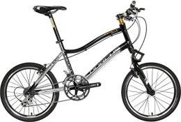 Dorcus Biciclette da città Cityflitzer Dorcus 50, 8 cm ruota, argento / bianco