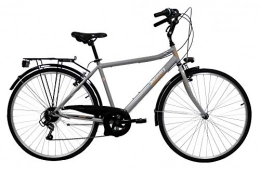 Discovery Biciclette da città Discovery 28 Trek Acciaio Uomo, Bici Trekking Manhattan 28'' Cambio Shimano 6 velocità, Colore Metal, Silver Metallizzato