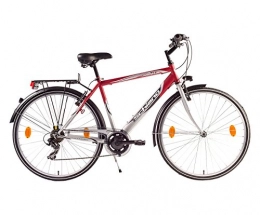 F.lli Schiano Biciclette da città F.lli Schiano Trekking Ares Cambio Power Bicicletta, Rosso / Argento, 28