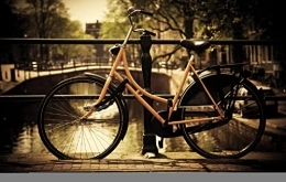LHJOYSP mini puzzle adulti 1000 pezzi Recinto della bicicletta del ponte della città Amsterdam Paesi Bassi 75x50cm