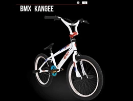 Cicli Puzone BMX WHISTLE BMX KANGEE GAMMA 2019