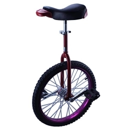 HXFENA Bici HXFENA Monociclo, Bicicletta a Ruota Singola Competitiva Bilanciamento Esercizio Di Ciclismo per Bambini Principianti Altezza Adatta 110-125 cm / 14 Inches / Purple