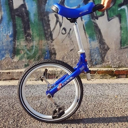 YXWzxl Monocicli Monocicli 50 cm carriola equilibrio auto sportiva auto bambini adulto monociclo fitness viaggi acrobazie monociclo bicicletta per perdere peso, viaggiare, migliorare la forma fisica Biciclette senza p