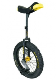Passe Passe Bici Monociclo con 19 pollici, 47, 5 cm, colore: nero