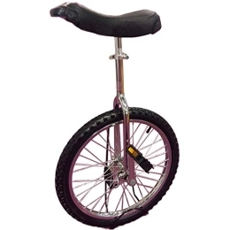 WYFX Bici Monociclo da 20 pollici per bambini grandi / adulti, monociclo esterno regolabile con telaio in acciaio resistente e ruota in lega, miglior regalo di compleanno (colore argento, misura: 50, 8 cm)