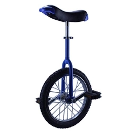 LRBBH Bici Monociclo, Equilibrio Ruota Singola Anello in Acciaio Bambini Quadrato Tempo Libero Fitness Sport Ciclismo Esercizio Altezza Adatta 140-160 cm / 18 pollici / blu