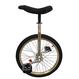 TTRY&ZHANG Monocicli TTRY&ZHANG 20" / 24" Monociclo d'oro per Big Kid / Adolescente / Adulti / Femmina / Maschile, per Fitness Esercizio Principiante, Skid Proof Wheel in Ley Rim Bike (Size : 20INCH)