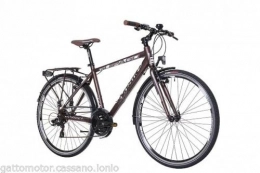 WHISTLE Mountain Bike BICI BICICLETTA PASSEGGIO WHISTLE GUIPAGO M49 1614T 21S ALLUMINIO