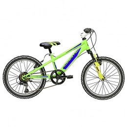 Cicli Adriatica Mountain Bike Bicicletta ROCK 20" da bambino di Cicli Adriatica con forcella anteriore ammortizzata (Verde - Blu)